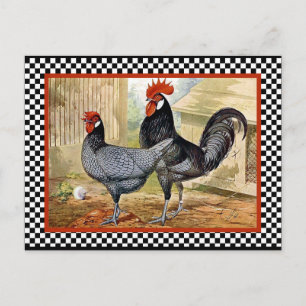 Vintage Chicken Rooster Postcard