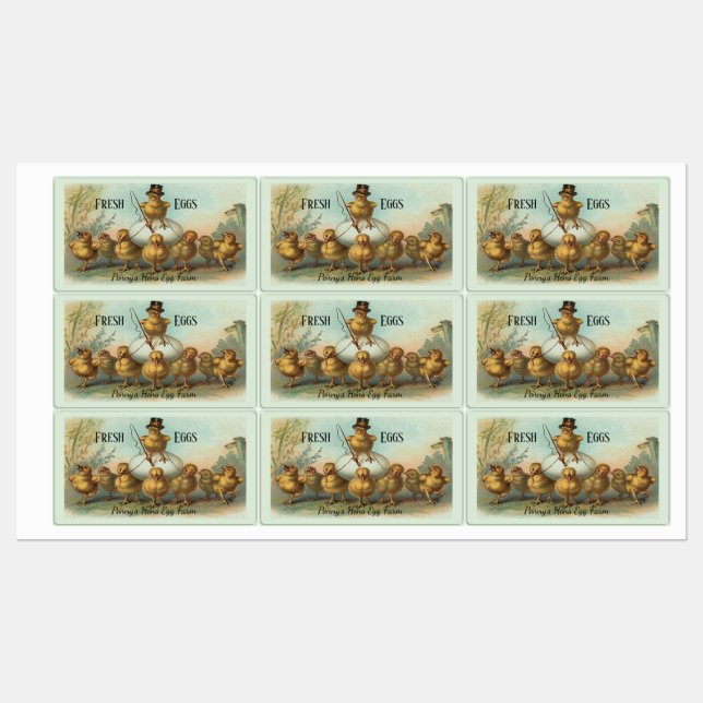 Vintage Chicken Wrangler and Chicks Egg Carton (Sheet)