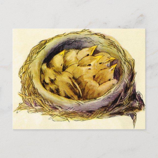 Vintage Chicks Postcard (Front)