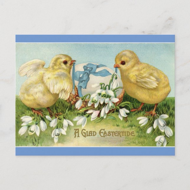 Vintage Chicks With Egg Postcard (Front)