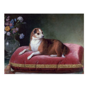 Vintage Chihuahua Postcards Zazzle Ca
