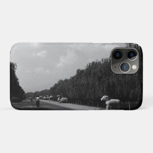 Vintage China Pekin beautiful pathway ming tombs iPhone 11 Pro Case