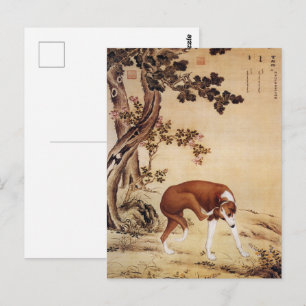 Vintage Chinese Greyhound Under Pine Tree Art Postcard