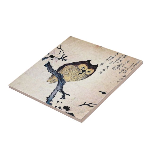 Vintage Chinese Owl Tile - Trivet (Side)