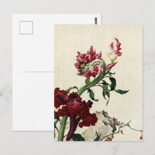 Vintage Chinoiserie Red Cockscomb Flower Art Postcard