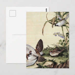 Vintage Chinoiserie Sparrows and Purple Flowers Postcard