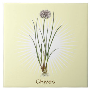 Vintage Chives Herb Botanical Art Ceramic Tile