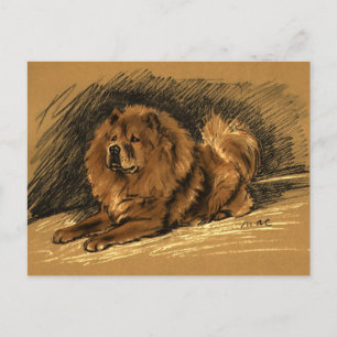 Vintage Chow Dog Postcard