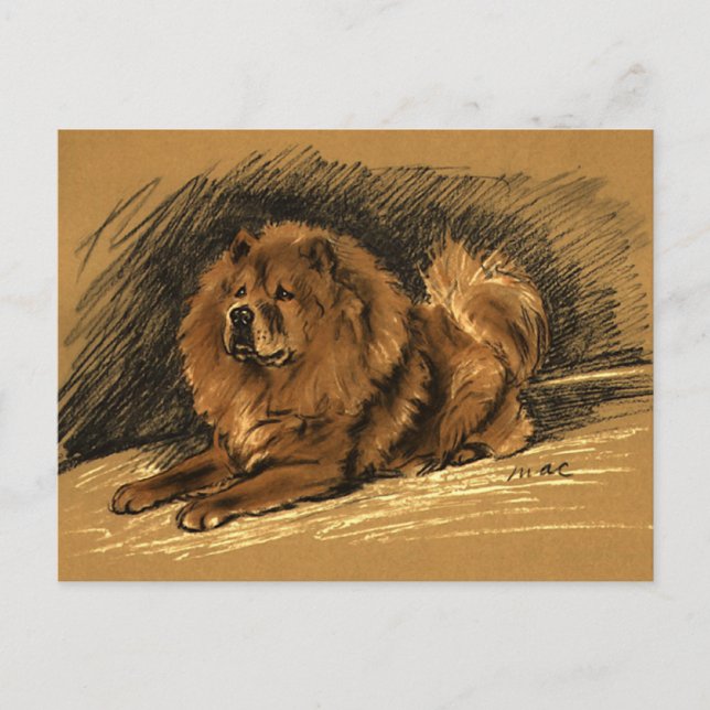 Vintage Chow Dog Postcard (Front)