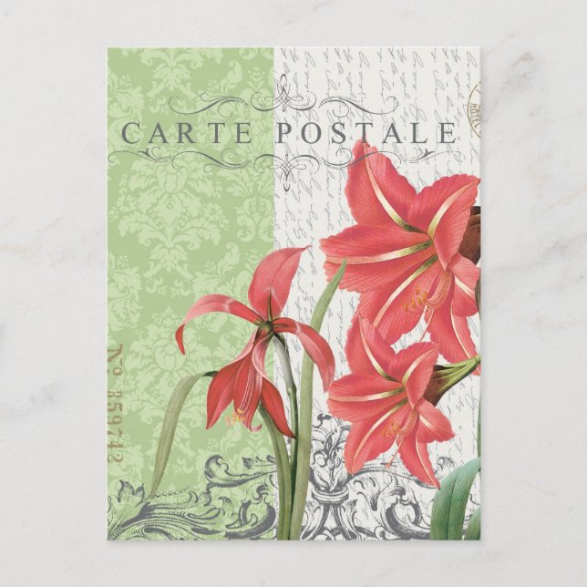 Vintage Christmas-Amaryllis postcard (Front)