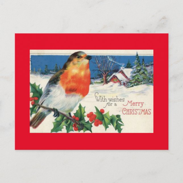 Vintage Christmas Bird Holiday Postcard (Front)