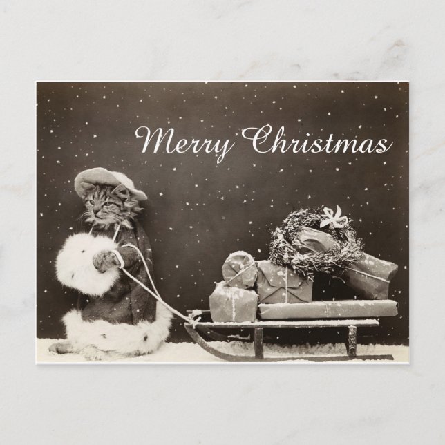 Vintage Christmas Cat with sled and wreath Holiday Postcard (Front)