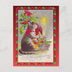 Vintage Christmas,  Christmas cat Holiday Postcard