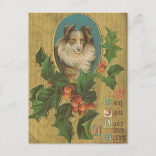 Vintage Christmas Collie Holiday Postcard