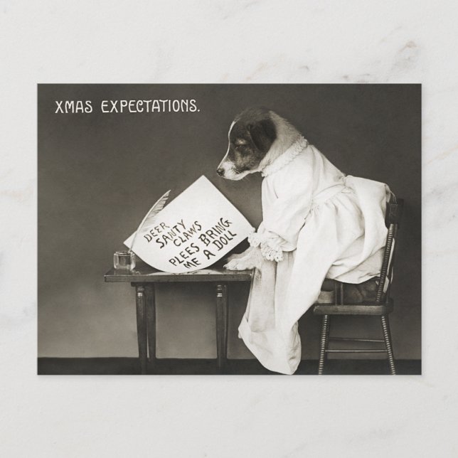 Vintage Christmas Dog Puppy Humour Postcard (Front)