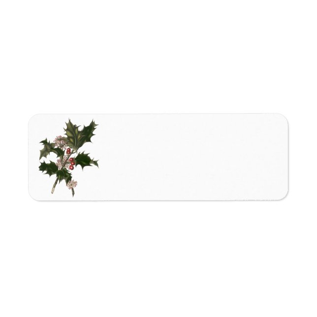 Vintage Christmas, Green Holly Plant with Berries (Front)