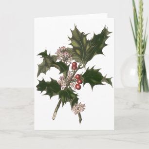 Vintage Christmas, Green Holly Plant with Berries Holiday Card