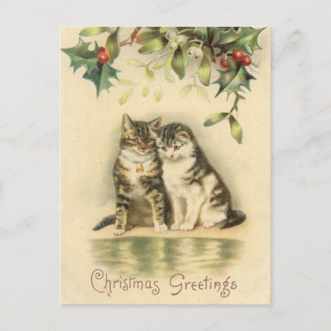 Vintage Christmas Greetings Kitty Cats Holiday Postcard (Front)
