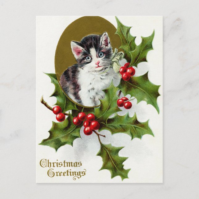 Vintage Christmas Holiday cat holly postcard (Front)