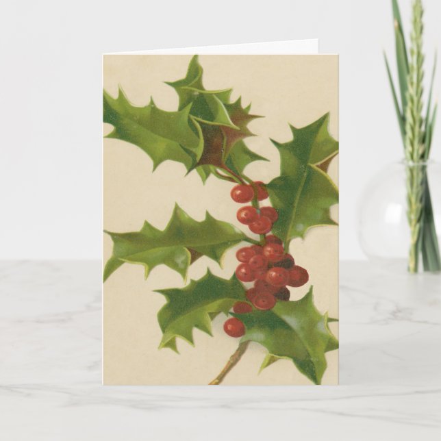 Vintage Christmas Holly Berries Christmas Holiday Card (Front)