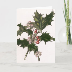 Vintage Christmas, Holly Plant with Red Berries Holiday Card