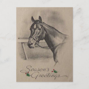 Vintage Christmas Horse Season Greetings Holiday Postcard