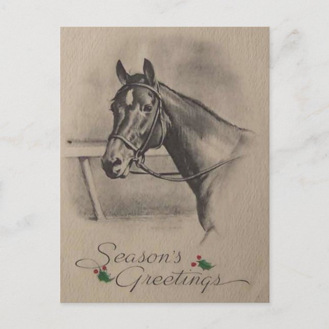 Vintage Christmas Horse Season Greetings Holiday Postcard (Front)