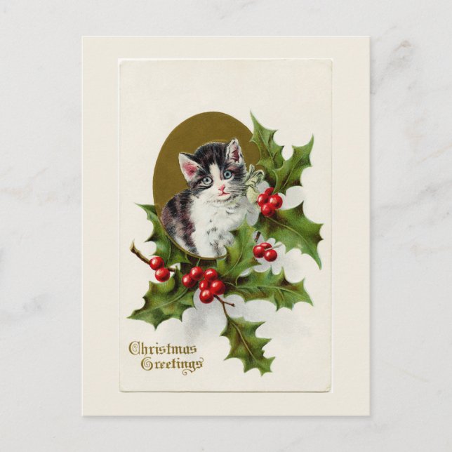 Vintage Christmas Kitten White Postcard (Front)