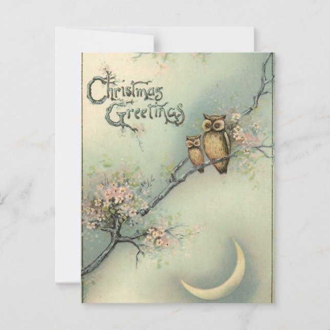 Vintage Christmas Owls Holiday Card (Front)