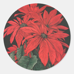 Vintage Christmas Red Poinsettia Plants Flowers Classic Round Sticker