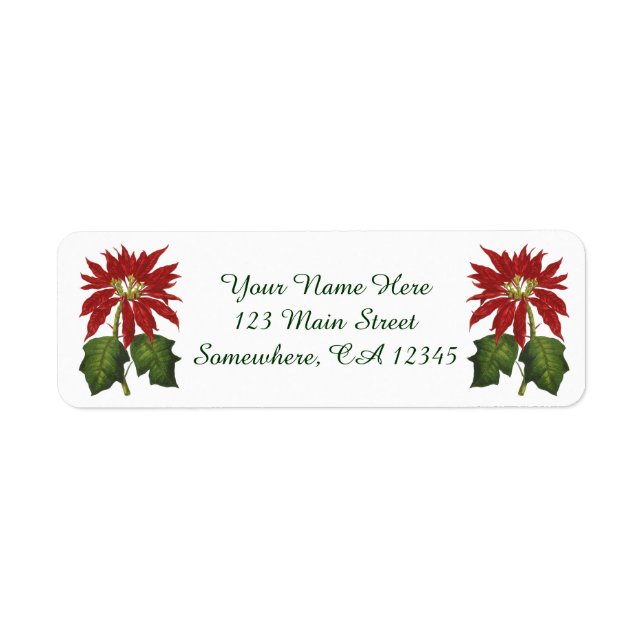 Vintage Christmas, Red Poinsettia Winter Plant (Front)