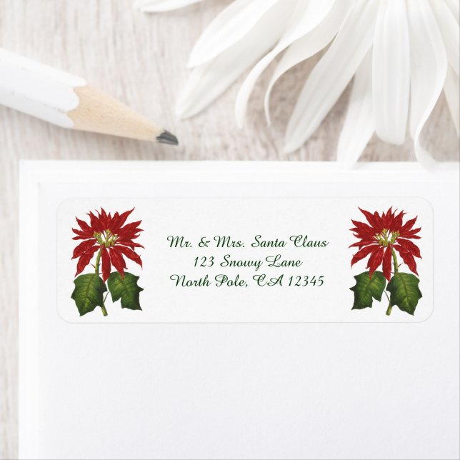 Vintage Christmas, Red Poinsettia Winter Plant (Insitu)