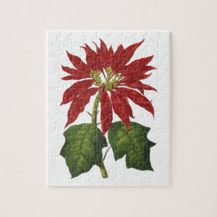 Vintage Christmas, Red Poinsettia Winter Plant Jigsaw Puzzle