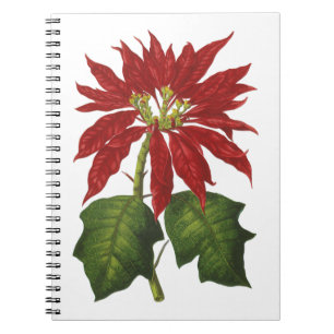 Vintage Christmas, Red Poinsettia Winter Plant Notebook