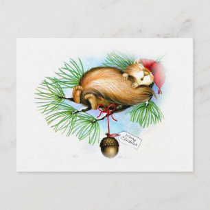 vintage christmas squirrel dreaming holiday postcard