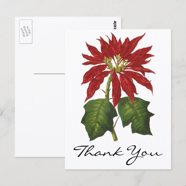 Vintage Christmas Thank You Postcard (Front/Back)