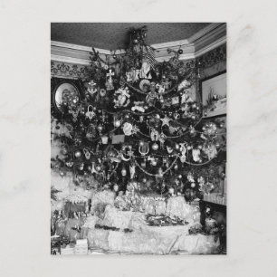Vintage Christmas Tree Photograph (1910) Holiday Postcard