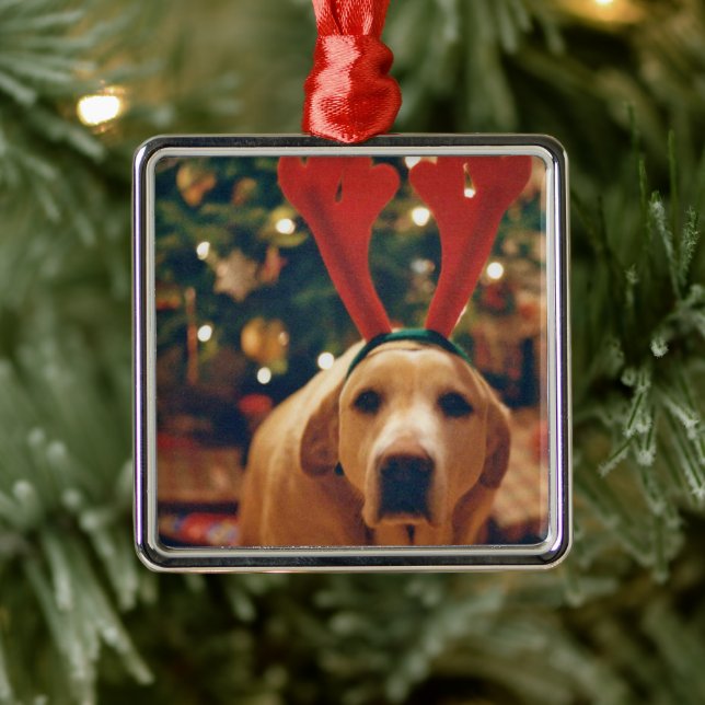 Vintage Christmas Yellow Lab Dog  Metal Ornament (Tree)