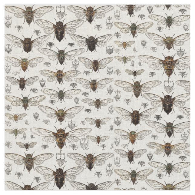 Vintage Cicadas Illustration Fabric (Close Up)