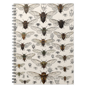 Vintage Cicadas Illustration Notebook