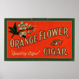 Vintage Cigar Advertisement: Orange Flower Poster