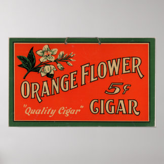 Vintage Cigar Advertisement: Orange Flower Poster