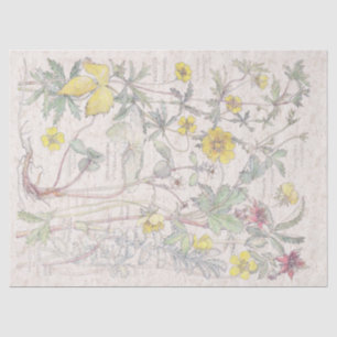 Vintage Cinquefoil Wildflower Flowers Tissue Paper