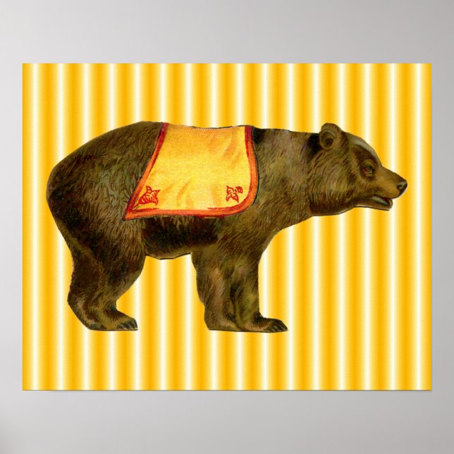 vintage circus bear poster (Front)