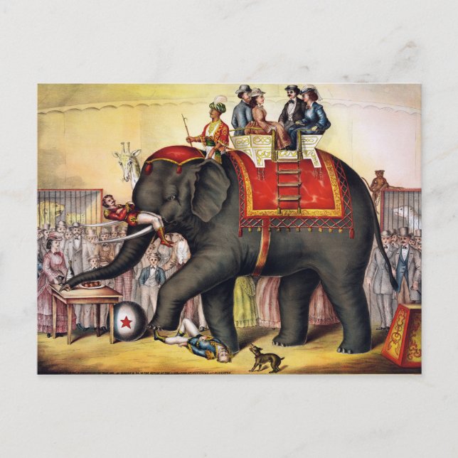 Vintage Circus Elephant Postcard (Front)