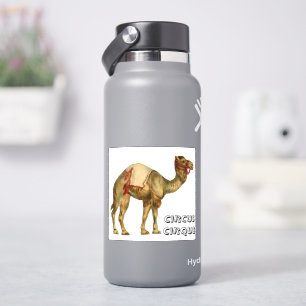 Vintage circus performing camel