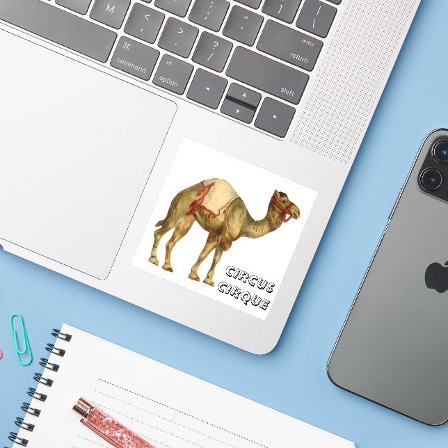 Vintage circus performing camel (Laptop w/ iPhone)