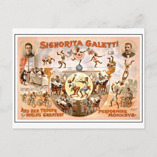 Vintage Circus Performing Monkeys Postcard (Front)