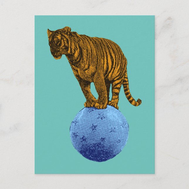 Vintage Circus Tiger Postcard (Front)