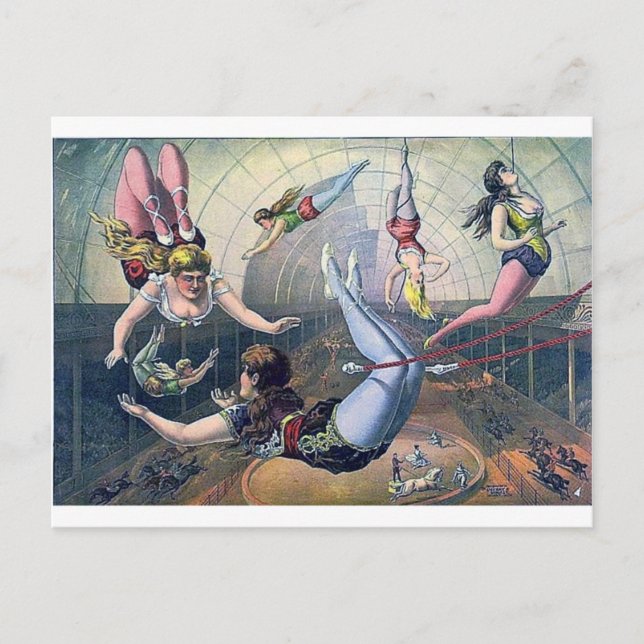 Vintage CIRCUS trapeze horses arena Postcard (Front)